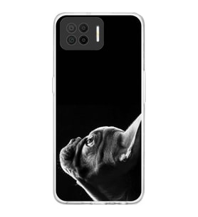 PrintiFy Oppo A73 ile Uyumlu Köpek 1 Kamera Korumalı Şeffaf Kılıf