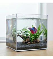 Kristal Küp Nano Akvaryum & Beta Fanusu 20X20X20 cm 7 Litre - Karides ve Balık Akvaryumu