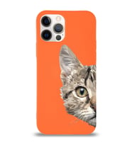 Apple iPhone 12 Pro Max Uyumlu Lansman Kılıf Catface Tasarımlı Altı Kapalı İçi Kadife Kaplı  Kapak (Şeffaf)