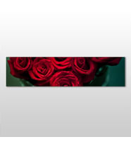 Kırmızı Gül Kanvas Tablo 180x60cm (Karışık)