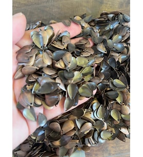 ÇELİK ESKİTME DELİKLİ DAMLA TAKI PULU TAKI AKSESUARI 1 CM 10 GR