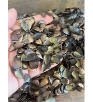 ÇELİK ESKİTME DELİKLİ DAMLA TAKI PULU TAKI AKSESUARI 1 CM 10 GR