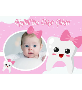 Diş Buğdayı Kız Bebek Magnet hdts190 16 Adet-