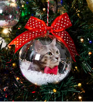 Yeni Yıl Hediyesi Kedi Fotoğraflı Yılbaşı Ağacı Süsleri, Kedili, Evcil Hayvan Fotoğraflı Yeni Yıl Hediyesi, Fotoğraflı Yılbaşı Ağacı Dekorasyonu, Kedi, Köpek, Kuş Fotoğraflı Hediye