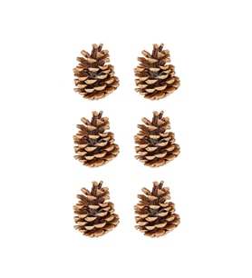 Yılbaşı Çam Ağcı Süsü Kozalak 6 cm 6'lı