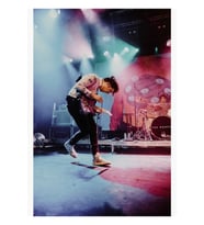 Wombats Tablo Ahşap Poster Dekoratif
