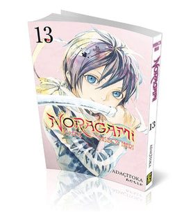 Noragami Cilt 13