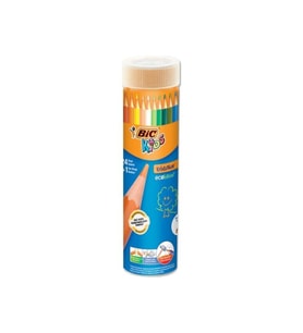 Bic Kids Evolution Kuru Boya Kalemi 24+1'li Metal Tüp (Karışık)