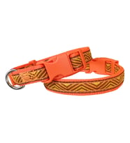 Daa Desenli Dokuma Köpek Boyun Tasması 1,5 cm x 27-40 cm Tcu