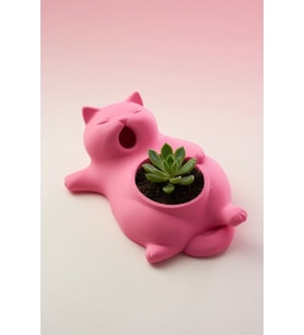 MYCRAFT3D Sevimli Kedi Saksı  Dekoratif Kedi Figürlü Çiçeklik  Masa Üstü Dekoratif Saksı  Mini Doğal Yaşam Alanı