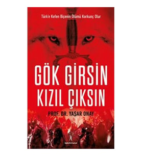 GÖK GİRSİN KIZIL ÇIKSIN