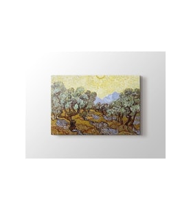 Vincent Van Gogh - Olive Trees Tablo