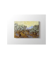 Vincent Van Gogh - Olive Trees Tablo