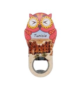 Tunus Temalı Baykuş Magnet Kapak Açacak (Karışık)