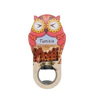 Tunus Temalı Baykuş Magnet Kapak Açacak (Karışık)
