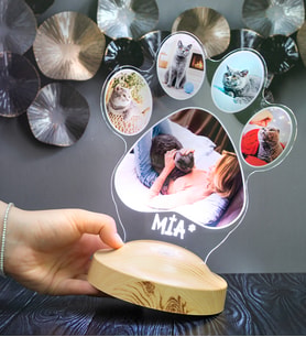 Pati Tasarımlı Kedi Fotoğraflı LED Lamba - İsim Yazılı Kedi Sahibine Doğum Günü Hediyesi