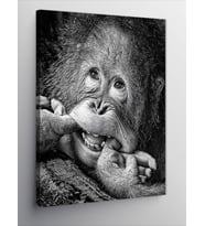 Kanvas Tablo Gülümseyen Orangutan