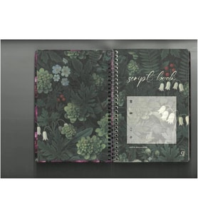 GIPTA SCRIPT BOOK SPİRALLİ SERT KAPAK 17x24 80YP.ÇİZGİLİ DEFTER 8406 - TEKLİ