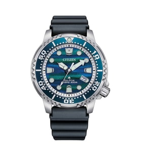 Citizen Bn0167-09W Kol Saati