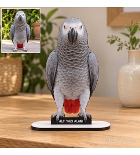 Fotoğraftan Kişiye Özel Evcil Hayvan Fotoğraflı MDF Karikatürlü 18 cm MDF Masaüstü Biblo - Masaüstü Hediye 4. Model