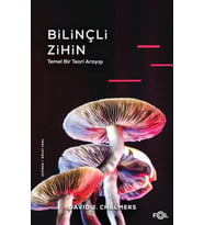 Bilinçli Zihin –Temel Bir Teori Arayışı