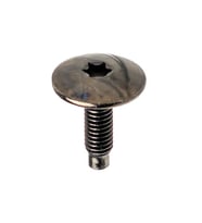 Peugeot, Citroen için Torx Uyumlu Davlumbaz T30 M6 Vidası