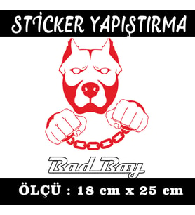 pitbull body pazu bodybulding etiket sticker - 1 adet çıkartma araba motosiklet kask atv tablet pc buzdolabı otomobil bilgisayar uyumlu