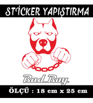pitbull body pazu bodybulding etiket sticker - 1 adet çıkartma araba motosiklet kask atv tablet pc buzdolabı otomobil bilgisayar uyumlu