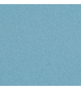 Philips PowerPro Active FC8672/01 Uyumlu CP1466/01 - 432200493811 Yıkanabilir Sünger Filtre