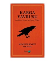 Karga Yavrusu