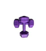 Leyaton Leyayon 2 Kg X 2 Adet Dambıl Vinyl Kaplı Dumbell Ağırlık - Mor