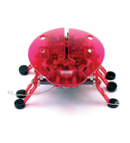 Hexbug Böcek Pembe