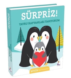 Sürpriz! - Yavru Hayvanları Tanıyorum
