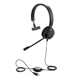 Jabra Evolve 20 Mono Usb Nc Kulaklık Mikrofon Tek Taraflı