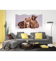 KEDİ MDF TABLO-2524 MODEL-B