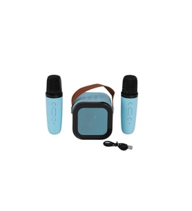 EMR-102 KUTULU 2Lİ KARAOKE MİKROFON