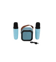 EMR-102 KUTULU 2Lİ KARAOKE MİKROFON