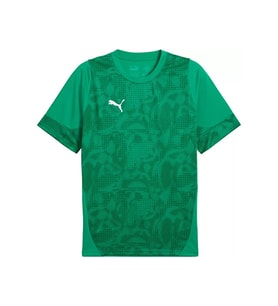 Puma Teamcup Training Jersey Erkek Futbol Tişörtü 65916705 Yeşil