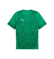 Puma Teamcup Training Jersey Erkek Futbol Tişörtü 65916705 Yeşil