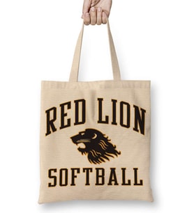 Red Lion Softball Bez Çanta Uzun Saplı