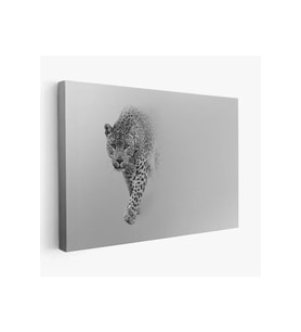 Leopar Dekoratif Kanvas Tablo 1154