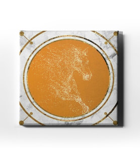 Yaldızlı Canvas Tablo MİNK115