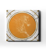 Yaldızlı Canvas Tablo MİNK115