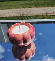 8x8 Pembe Kabak Mum - El Yapımı Alçı Kase Ve Kokulu Mum - Fresh Aromalı