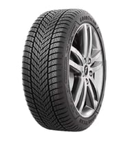 Goodyear WinterCommand 255/40R19 100V XL M+S 3PMSF FP EV
