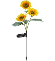 Solar Çiçek 2’li Paket