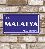 Kişiye Özel Metal Plaka Malatya 44 Retro Poster (29X15)