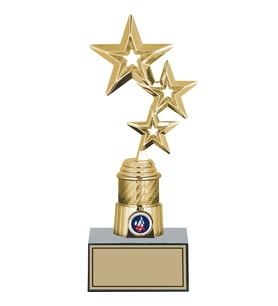 ODAK KUPA - Genel Kupalar - GN-072 C - 27 cm