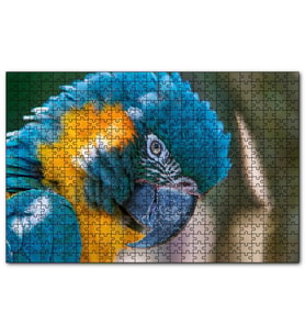 Cakapuzzle Mavi ve Sarı Macaw Papağanı Yakın Plan  Puzzle Yapboz MDF (Ahşap) (120 Parça)