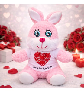 Seni Seviyorum Tişörtlü Pembe Peluş Tşan
